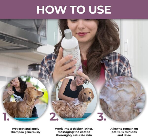 Formula Antiparasitic & Antiseborrheic Medicated Dog Shampoo use