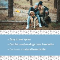 Veterinary Formula Flea and Tick Spray for Dogs