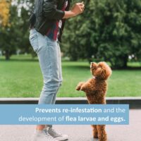 Veterinary Formula Flea and Tick Spray for Dogs