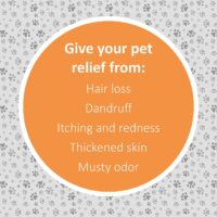 Veterinary Formula Antiseptic and Antifungal Spray for dogs and catsmula Clinical Care (UK) - Image 4