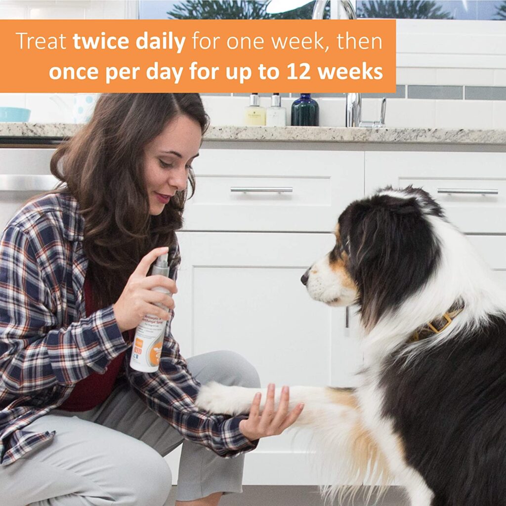 Veterinary Formula Antiseptic and Antifungal Spray for dogs and ...