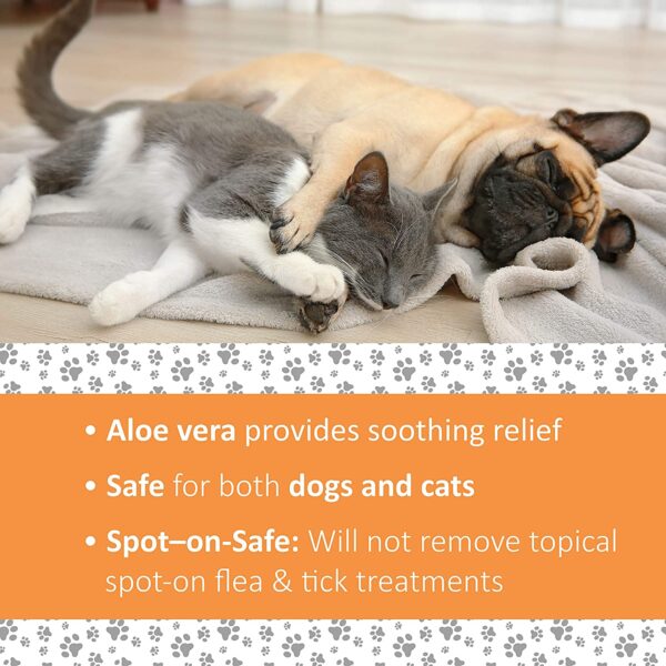 Veterinary ForAntiseptic and Antifungal Spray for dogs and catsmula Clinical Care