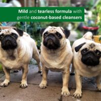 Veterinary Formula Flea and Tick Shampoo for Dogs and Cats Skin, 16 oz (UK) - Image 4