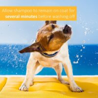 Veterinary Formula Clinical Care Dog Shampoo with Oatmeal and Tea Tree Oil (UK) - Image 3