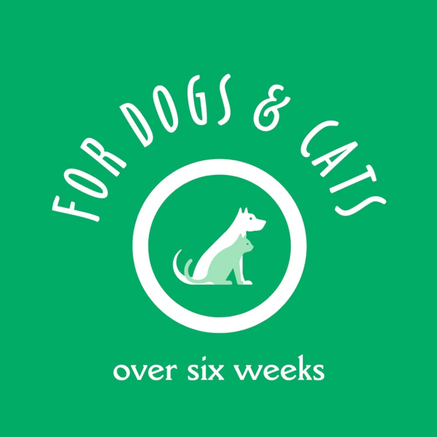 Earthbath natural Vanilla & Almond 3-in-1 Deodorizing Spritz – Dog & Puppy Cologne, Odor Eliminator, and Conditioner for in between bath – Cruelty-Free (Copy) - Image 3